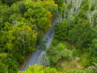 DJI_0572