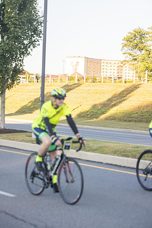 Day2_19395_22-08-18