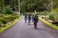 Rest Areas