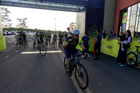 FULL PICTURE GALLERY