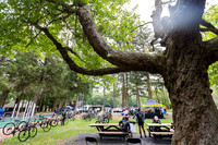 Rest Areas