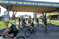 FULL PICTURE GALLERY
