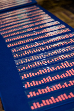 B4C2024_1197